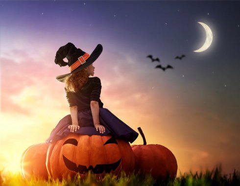 ʥ СŮ Ϲ 6KͼƬͼƬ