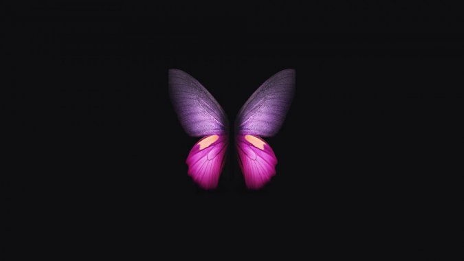 Galaxy Fold Butterfly  Ψ4KͼƬ