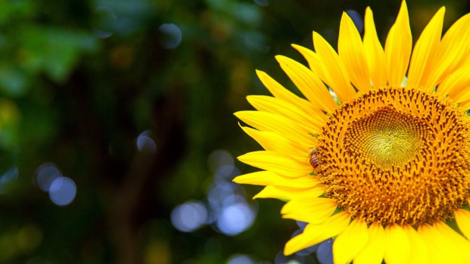 տ꣬⣬2021ֲͼƬ