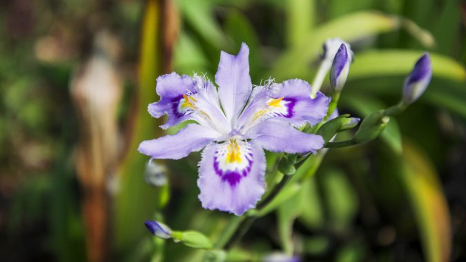 ʢ2021꣬죬5K壬ƬͼƬ