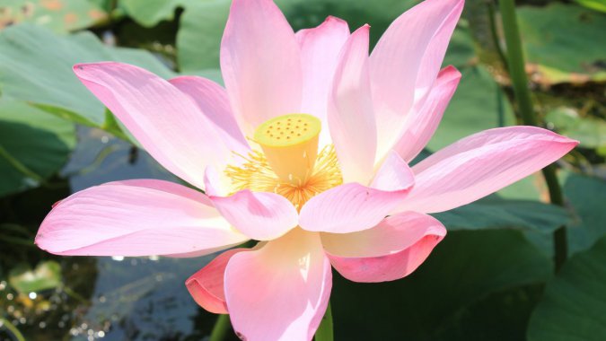 ļۺɫд20224KƷͼƬ