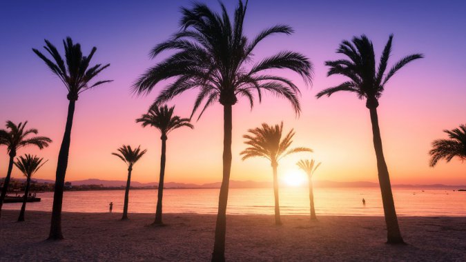 죬䣬ȴ̲2021꣬ͼƬ