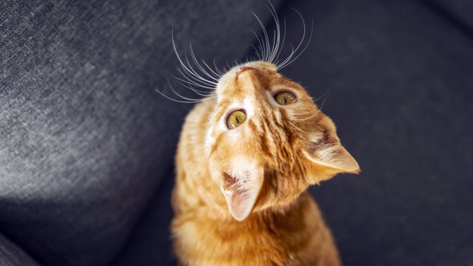 ɰè20215K壬ƬͼƬ