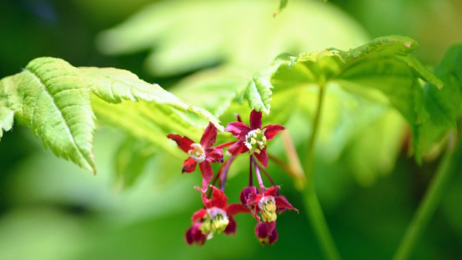 죬ǣ2021ֲ4KƬͼƬ