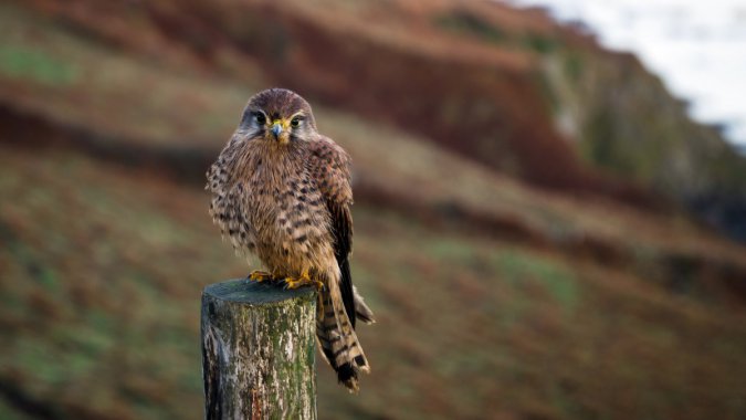 ����׮��2022����Ȼ�񣬸��壬��ƬͼƬ