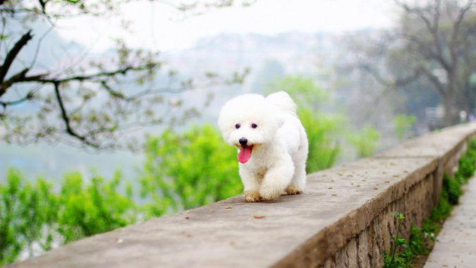 ףɰģС⣬ƬͼƬ