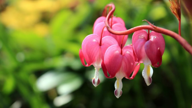 ۺɫ䣬2022꣬ƷʣƬͼƬ