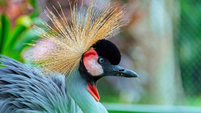 �����ף��Һף��ڣ������ͼƬ