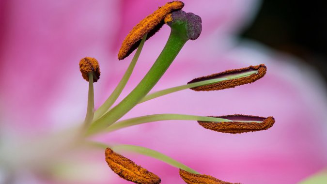 �ۺ�ɫ�ģ��ٺϣ��������꣬��дͼƬ