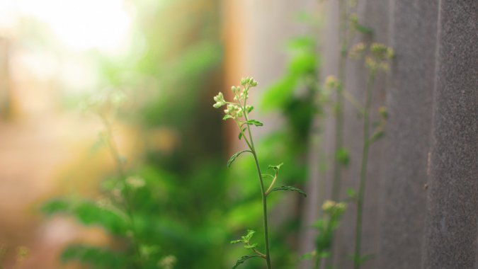 ֲ̲ݣ⣬HDдͷͼƬ