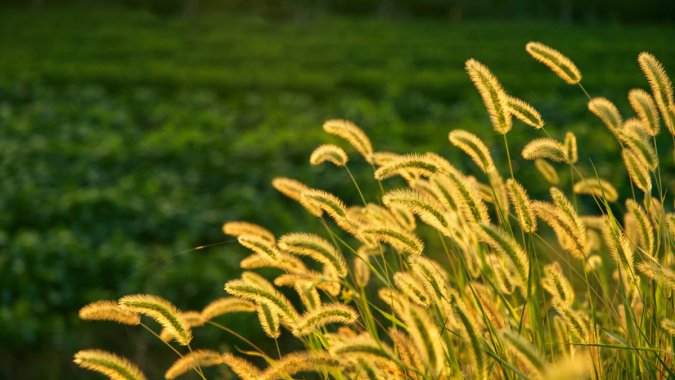 ���䣬��ɫ����β��2022����Ʒ�ʣ���ƬͼƬ