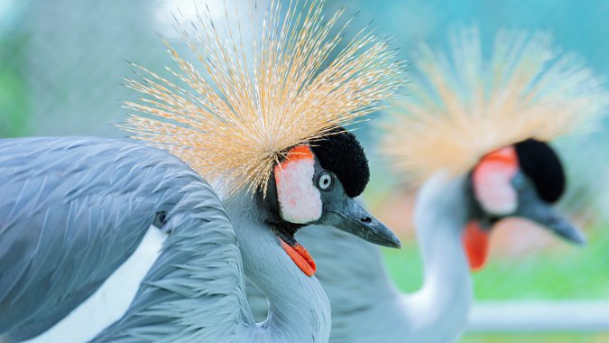 �ɰ����񣬶����๣�4K����ƬͼƬ