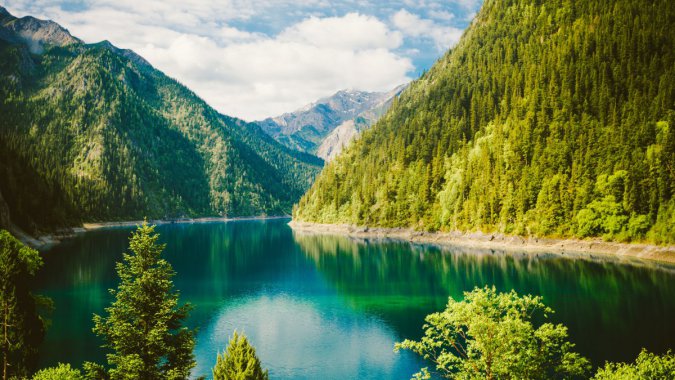 ��Ȼ��ɭ�֣�2022�꣬����������������ͼƬ