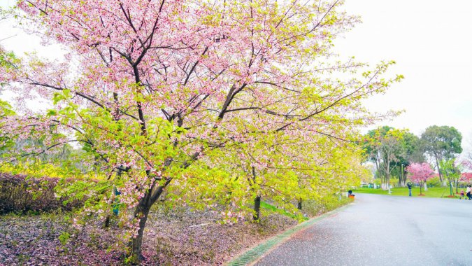 죬԰ӣ2021壬ƬͼƬ