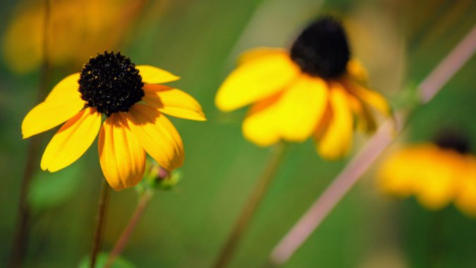 Ұƻ2021꣬Ȼֲ壬ƬͼƬ