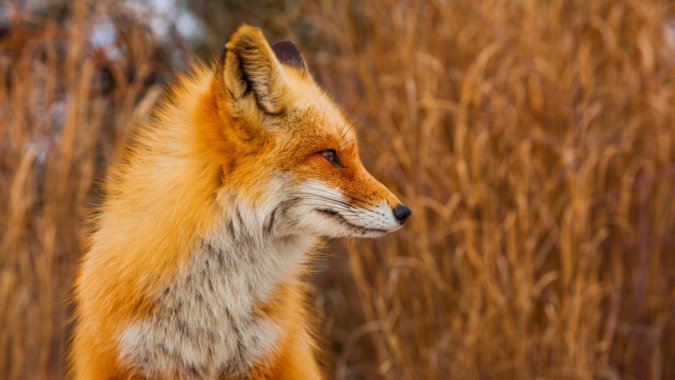 죬꣬ʣݵ飬дͷͼƬ