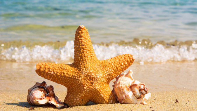 �ļ�������ɳ̲�����ǣ����ݣ�4K��������ͼƬ