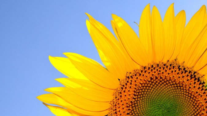 �ļ���ֲ����⣬���տ�������ͼƬ