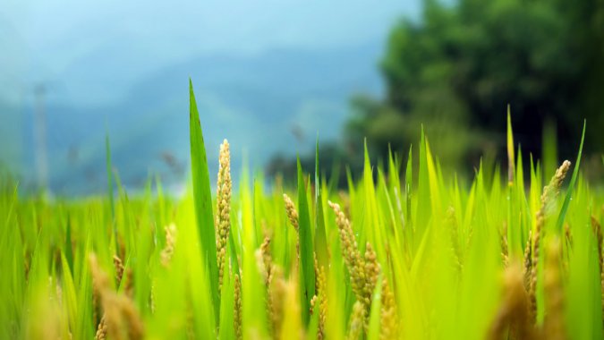 ���죬��ɫ�����룬2022�꣬����������ƬͼƬ