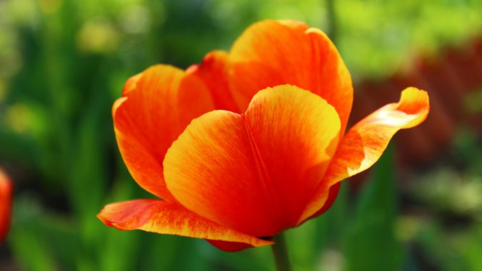 2022���ۺ�ɫ�������㣬������������ͼƬ