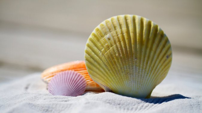 ���죬��̲��ɳ̲�����ǣ���д��ͷͼƬ