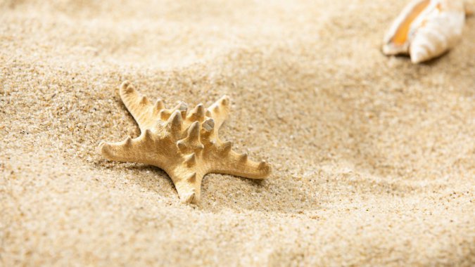 ���ǣ���̲��2021�꣬�ļ���5K����ƬͼƬ