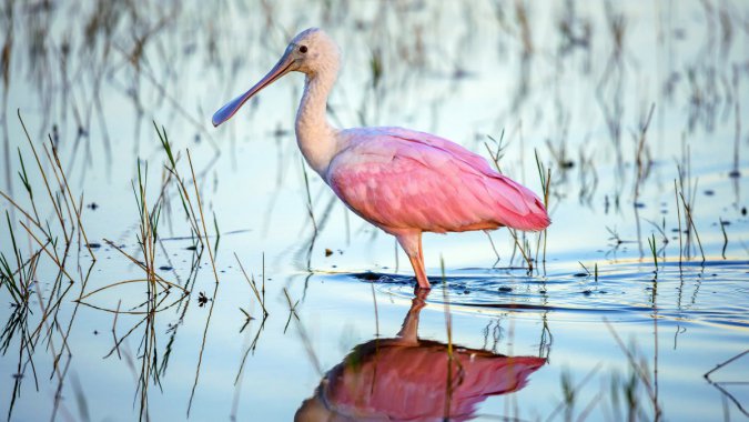 �ۺ����أ���2022��������������ͼƬ