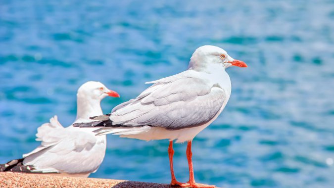 ĴǣߣŸ2021꣬ļͼƬ