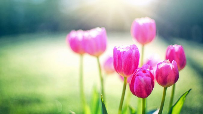 �ļ����ۺ�ɫ�������㣬���⣬2022��4K��HDͼƬ