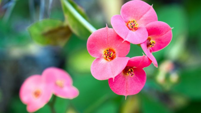 �ۺ캣�ģ�2022�꣬�������壬����ͼƬ