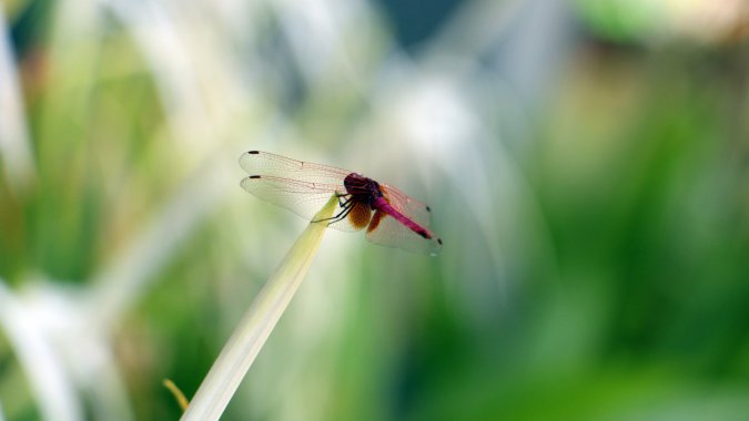 �죬���ѣ���д��ͷ����ɫ���ݣ������黯ͼƬ