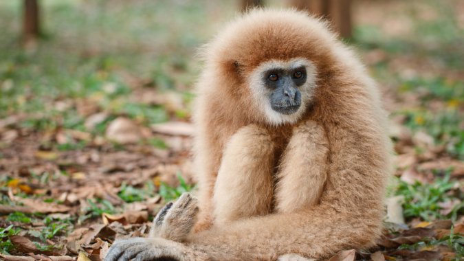 ����Գ�鳤�ද�2022������������ƬͼƬ