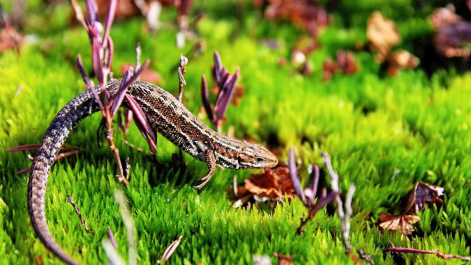 ݵأж棬дͷͼƬ