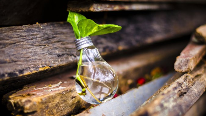 ⣬뷨ֲݣ2022,4KƷͼƬ