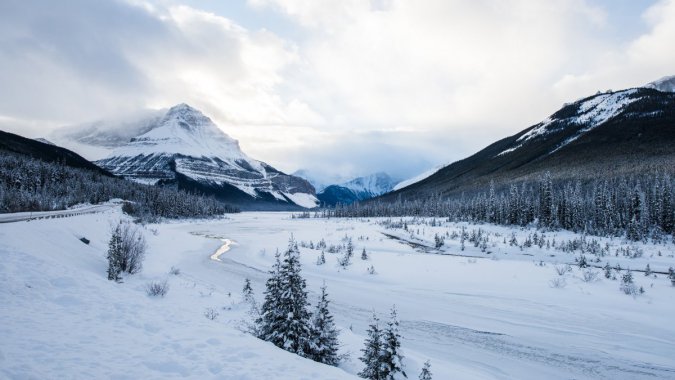 ������ɭ�֣���ѩ���ǣ�����ͼƬ