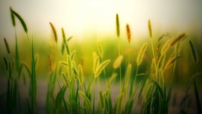 βݣģũ壬ũͼƬ