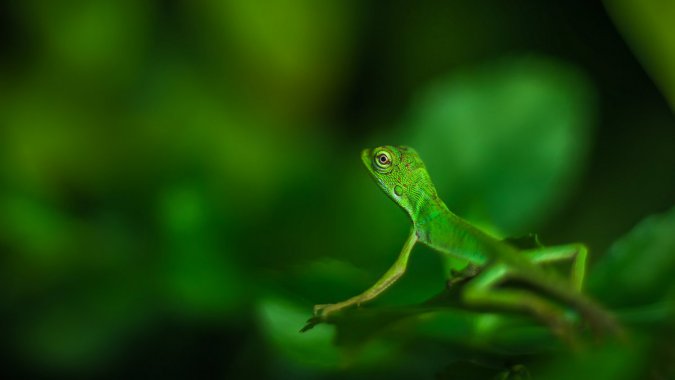 ��������ɫ�����棬��д��ͷ�������黯ͼƬ