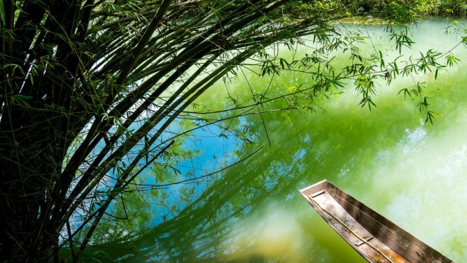 �й��������󲨣����Σ������羰ͼƬ