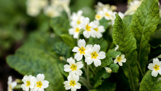 ���죬�׻������꣬2022��������������ͼƬ