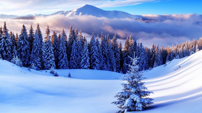 ���죬ɭ�֣���ѩ������������ͼƬ