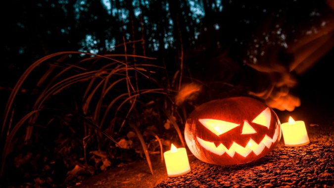 ��ʥ�ڣ�2022���ϹϹ⣬����֮ҹͼƬ