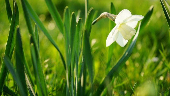 ���죬��Ȼ����ɫ���ݣ��ף�Ұ��ͼƬ