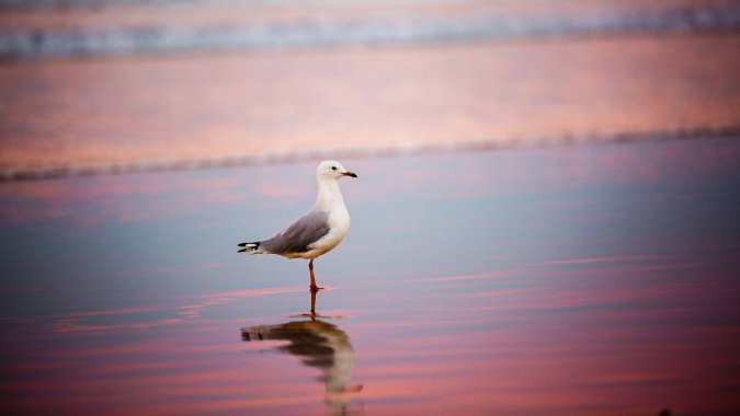 䣬ɳ̲󺣣ŸдͼƬ