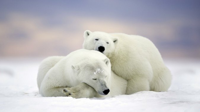 ���죬ѩ�򣬼��أ��ܣ�2022��4K��HDͼƬ