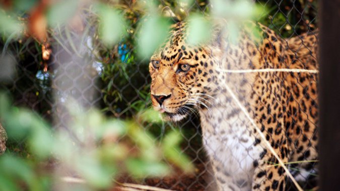 ����Ұ�����2022����������4K����ͼƬ