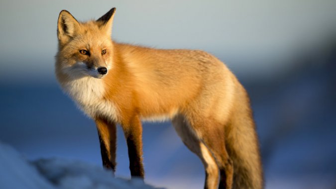 ɰ꣬Ұ2022壬ͼƬ