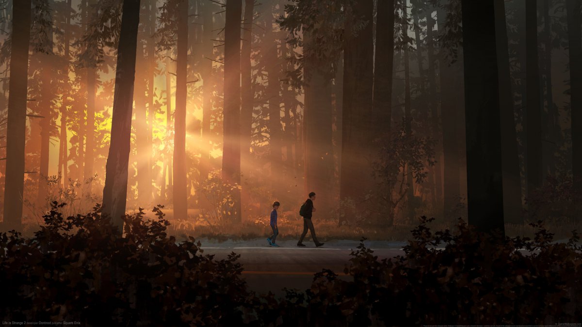 2 Life is Strange 25KϷͼƬ