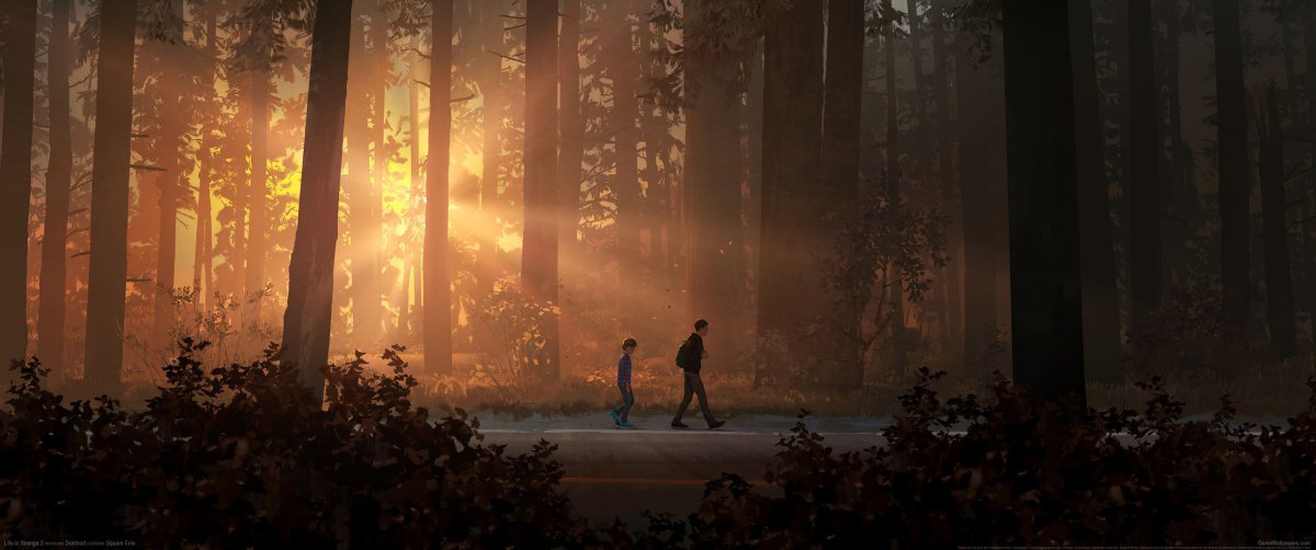 Life is Strange 2ͼƬ