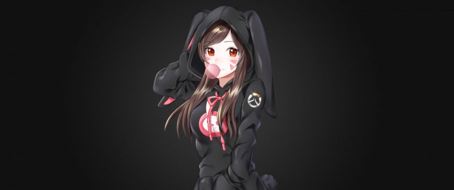 overwatch �����ȷ�DvaͼƬ