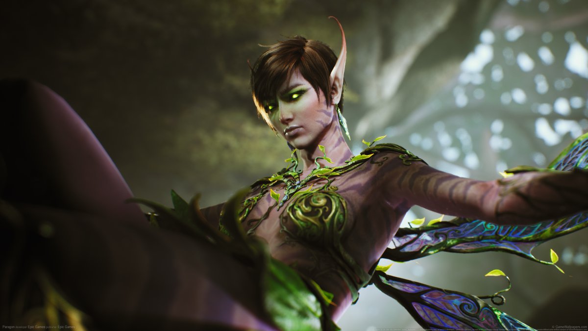  Paragonֲ   4KͼƬ